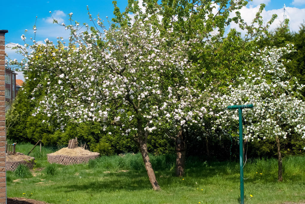 Villa 'T Bruggeske Mol Esterno foto